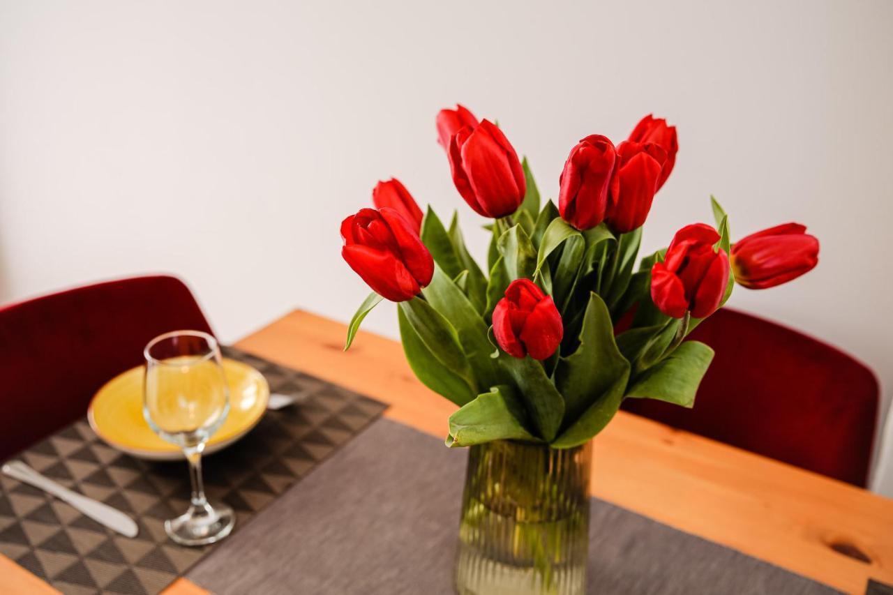 City Apartment Dorobantilor Cluj-Napoca Eksteriør billede